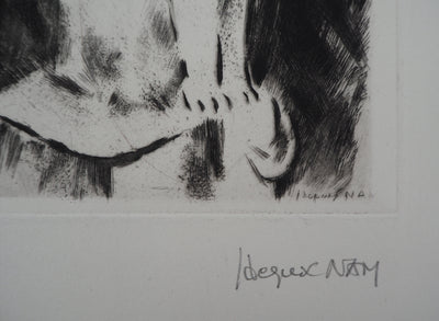 Jacques NAM : Chat persan, Gravure originale signée