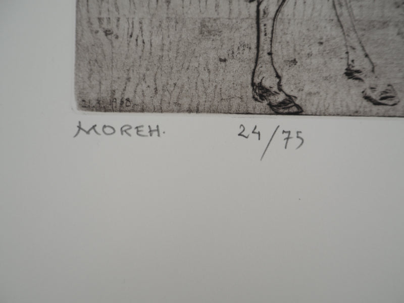 Mordecaï MOREH : L&