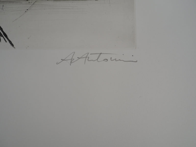 Annapia ANTONINI : Les pivoines, Gravure originale signée