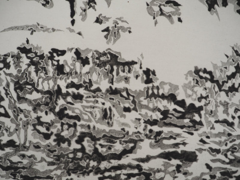 Claude-Jean DARMON : Horizon, Gravure originale signée