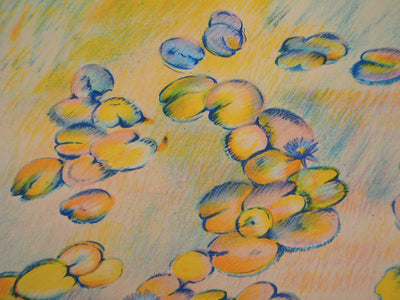 Alain DE CONDE : Les Nymphéas à l’automne, Lithographie originale signée