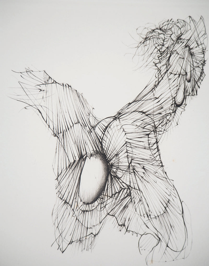 Hans BELLMER : Abstraction érotique - Gravure originale signée