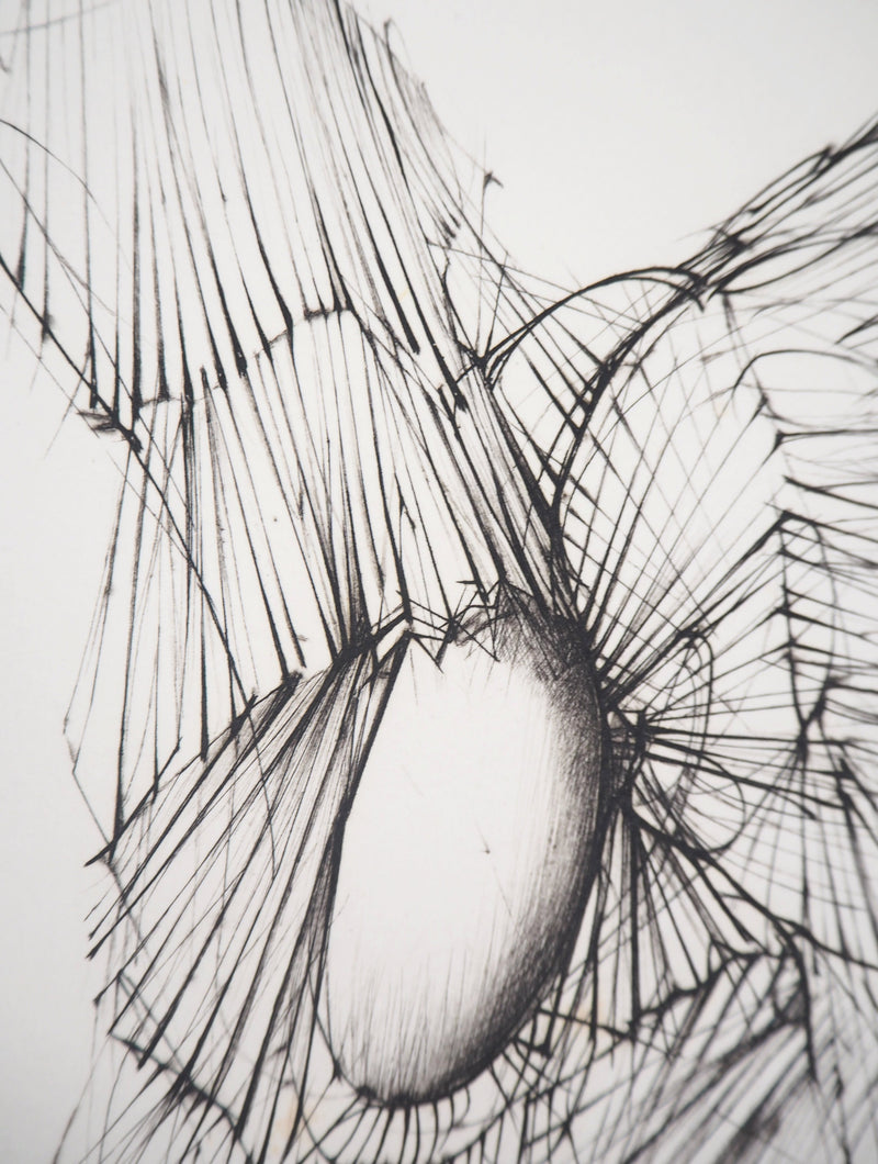 Hans BELLMER : Abstraction érotique - Gravure originale signée
