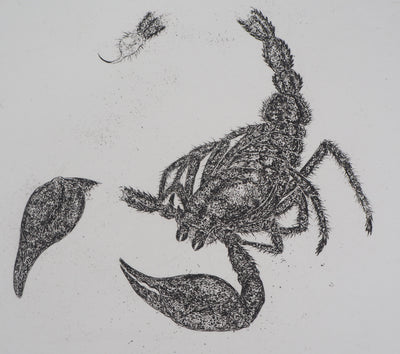 Serge D'URACH : Le scorpion détaché, Gravure originale signée