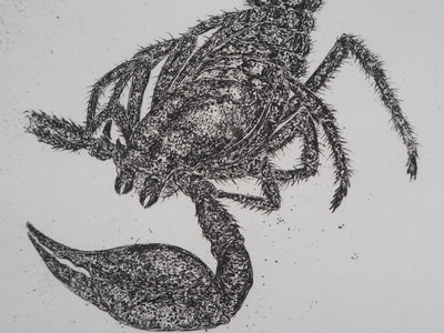 Serge D'URACH : Le scorpion détaché, Gravure originale signée