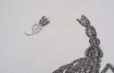 Serge D'URACH : Le scorpion détaché, Gravure originale signée
