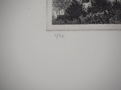 Michel  QUERIOZ : Déglasine, Gravure originale signée