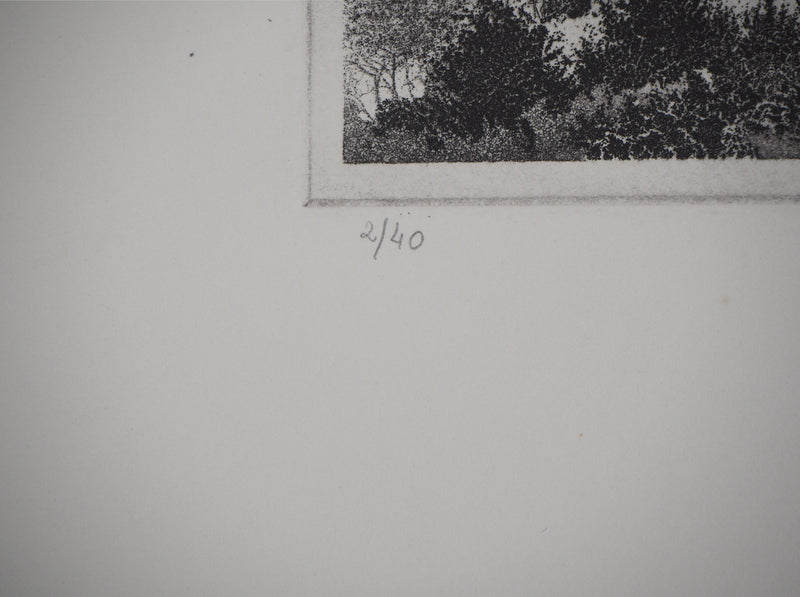 Michel  QUERIOZ : Déglasine, Gravure originale signée