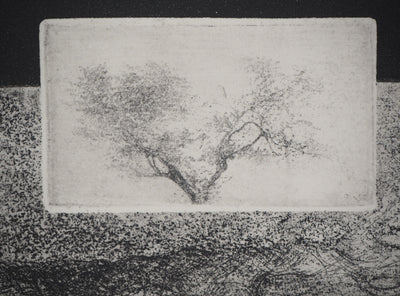Michel  QUERIOZ : L’arbre et l’oiseau, Gravure originale signée