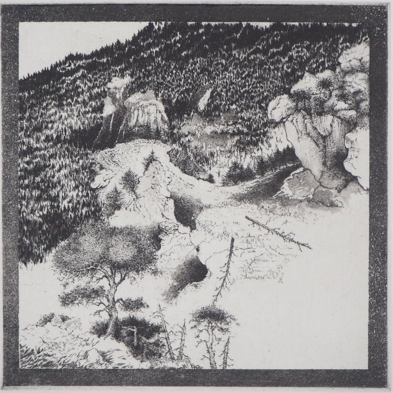 Michel  QUERIOZ : La montagne (Multitude), Gravure originale signée