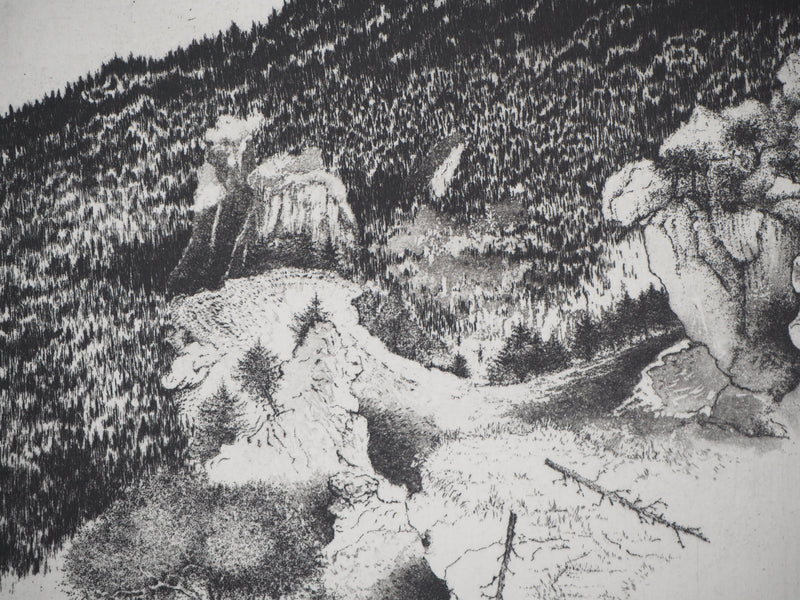 Michel  QUERIOZ : La montagne (Multitude), Gravure originale signée
