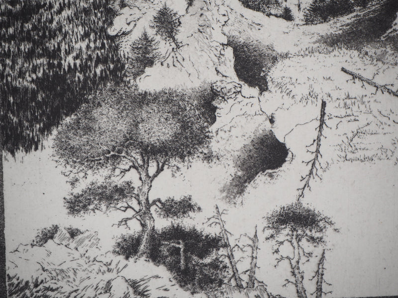 Michel  QUERIOZ : La montagne (Multitude), Gravure originale signée