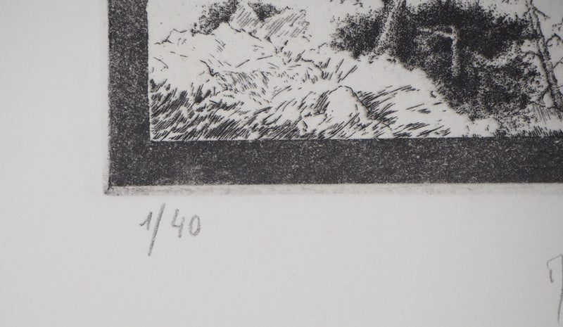 Michel  QUERIOZ : La montagne (Multitude), Gravure originale signée