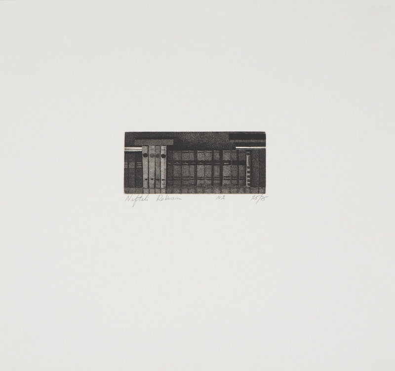 Naftali RAKUZIN : Classement de livres II, Gravure originale signée