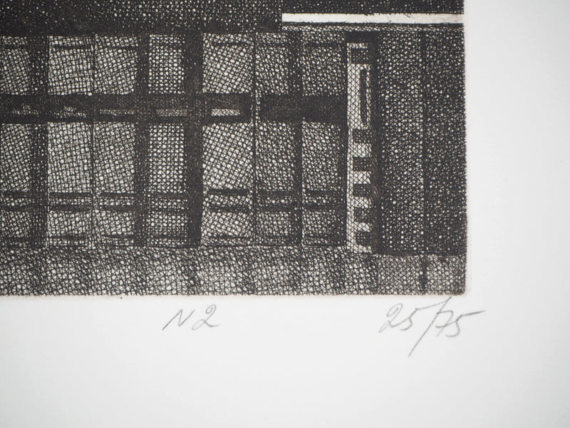 Naftali RAKUZIN : Classement de livres II, Gravure originale signée