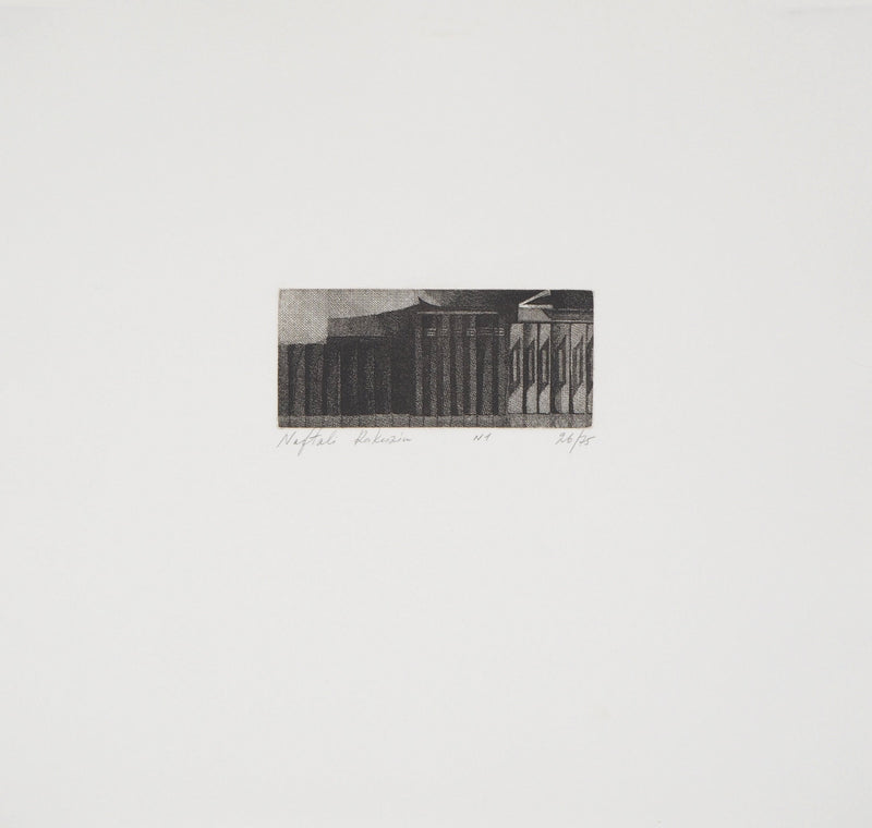 Naftali RAKUZIN : Ensemble de livres, Gravure originale signée