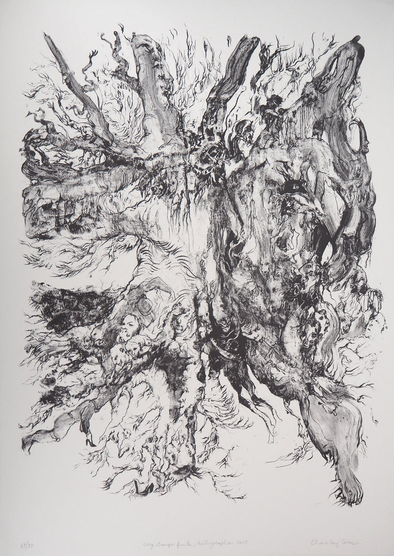 Charley CASE : Very Strange Fruits, Hallugraphies, Lithographie originale signée