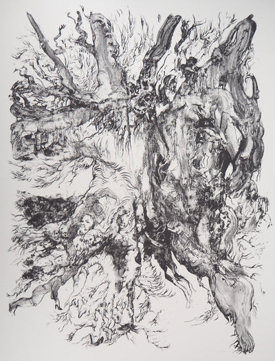 Charley CASE : Very Strange Fruits, Hallugraphies, Lithographie originale signée