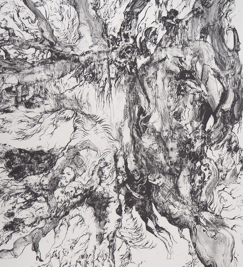 Charley CASE : Very Strange Fruits, Hallugraphies, Lithographie originale signée