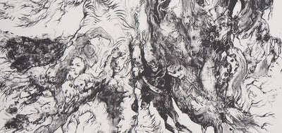 Charley CASE : Very Strange Fruits, Hallugraphies, Lithographie originale signée