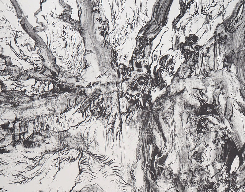 Charley CASE : Very Strange Fruits, Hallugraphies, Lithographie originale signée