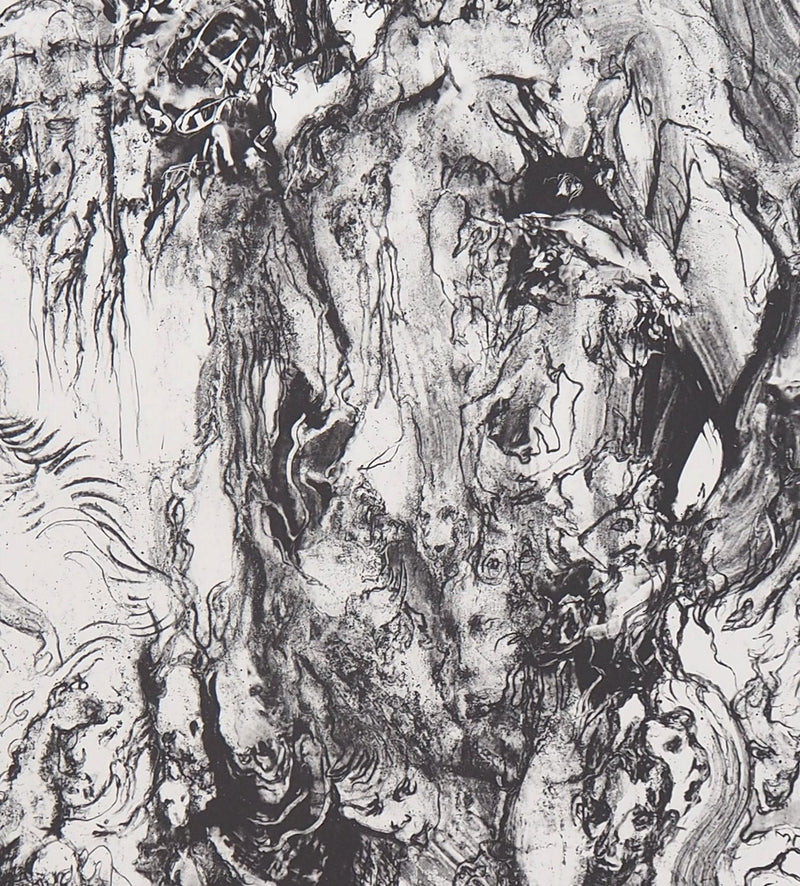 Charley CASE : Very Strange Fruits, Hallugraphies, Lithographie originale signée