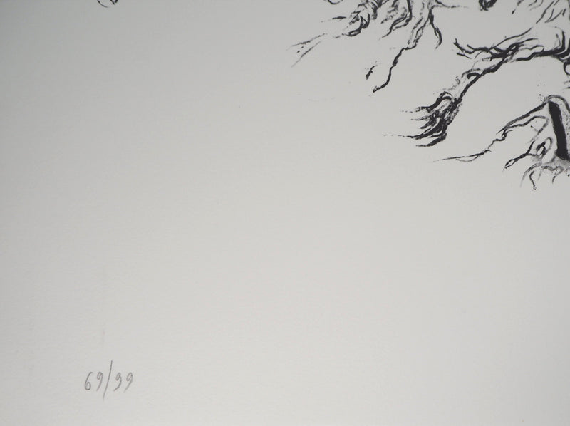 Charley CASE : Very Strange Fruits, Hallugraphies, Lithographie originale signée