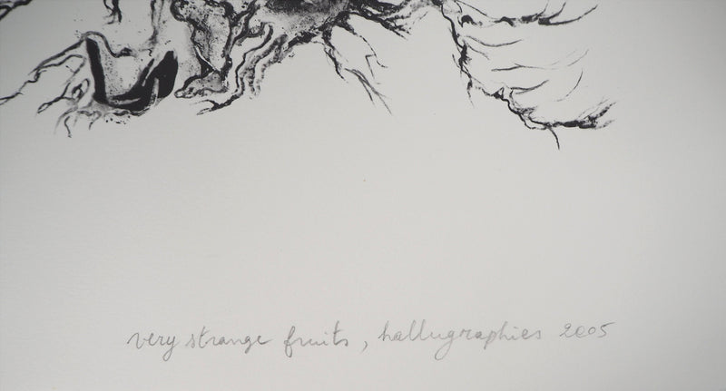 Charley CASE : Very Strange Fruits, Hallugraphies, Lithographie originale signée