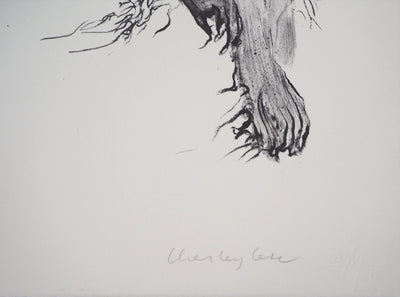 Charley CASE : Very Strange Fruits, Hallugraphies, Lithographie originale signée
