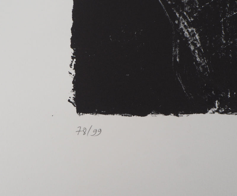 BT Pascale HÉMERY: Borderline, Original Signed Lithograph