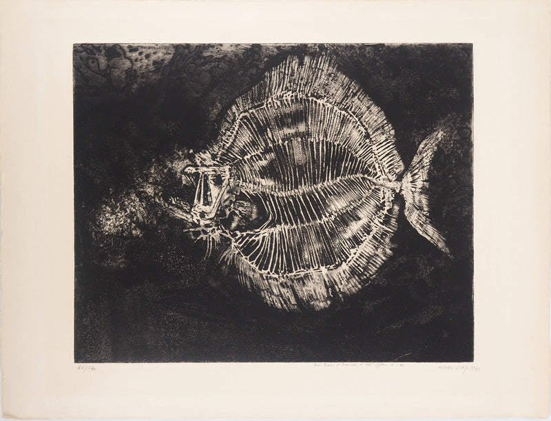 Michel CIRY : Squelette de poisson, Gravure originale signée