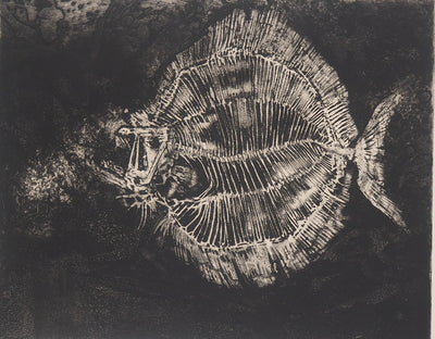 Michel CIRY : Squelette de poisson, Gravure originale signée
