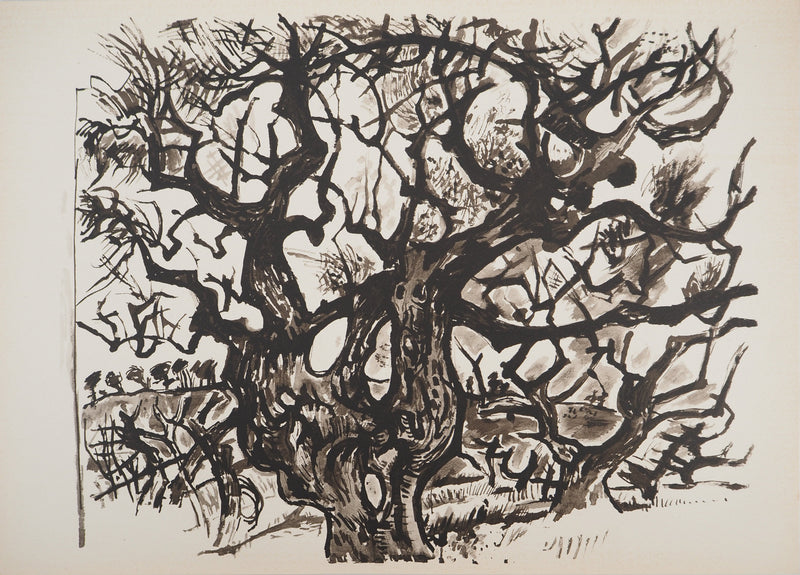 Edouard PIGNON : Le vieil arbre, Lithographie originale (vue générale) - Crédit photo : Galerie Art.Paris