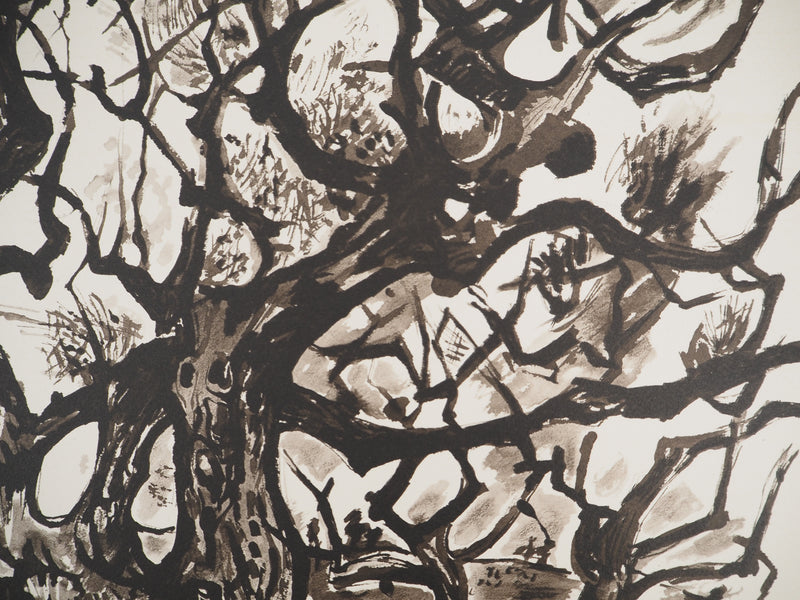 Edouard PIGNON : Le vieil arbre, Lithographie originale (photo de détail 3) - Crédit photo : Galerie Art.Paris