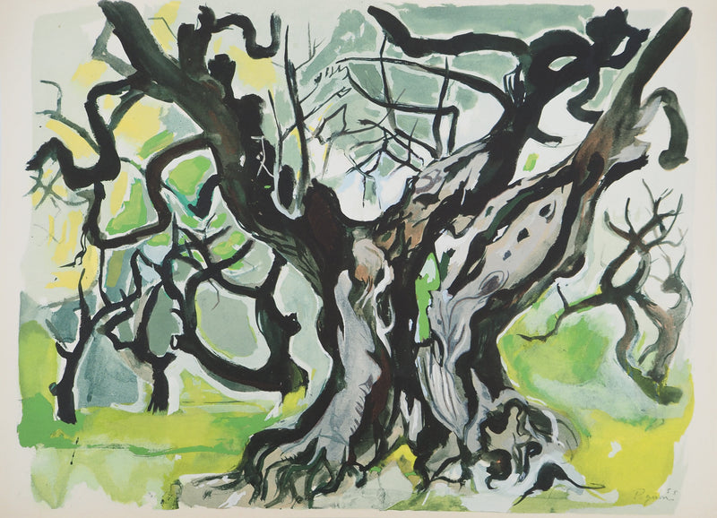 Edouard PIGNON : Le vieil olivier, Lithographie originale (vue générale) - Crédit photo : Galerie Art.Paris