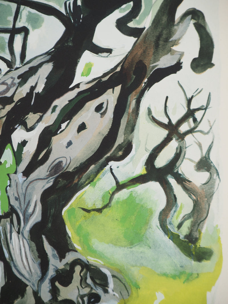 Edouard PIGNON : Le vieil olivier, Lithographie originale (photo de détail 5) - Crédit photo : Galerie Art.Paris