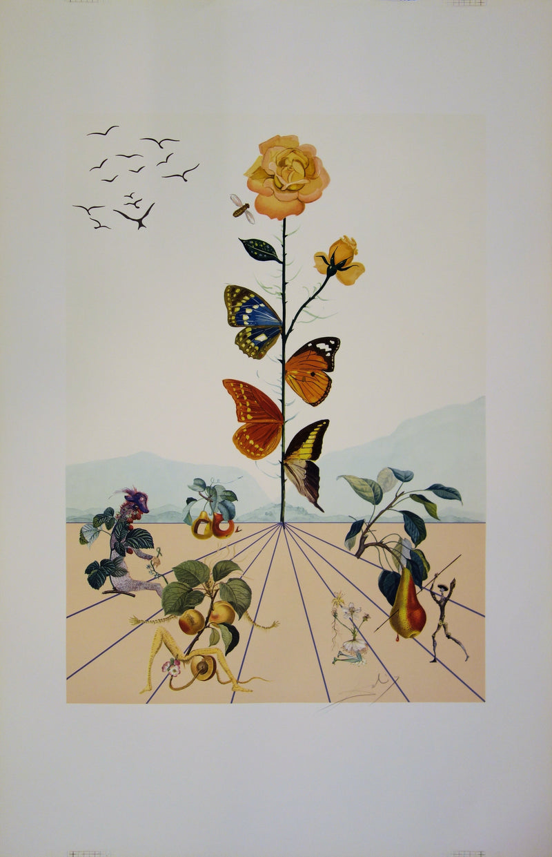 Salvador DALI : Flordali : La rose papillon, Lithographie originale (vue générale) - Crédit photo : Galerie Art.Paris