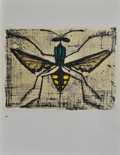 Bernard BUFFET : Les insectes, Lithographie originale (photo de détail 6) - Crédit photo : Galerie Art.Paris