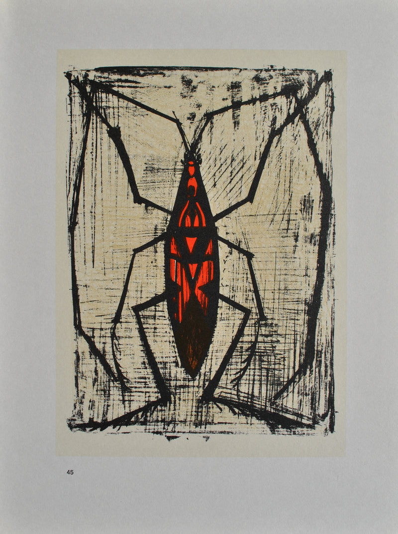 Bernard BUFFET : Les insectes, Lithographie originale (photo de détail 10) - Crédit photo : Galerie Art.Paris