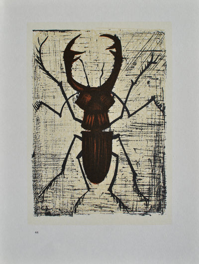 Bernard BUFFET : Les insectes, Lithographie originale (photo de détail 11) - Crédit photo : Galerie Art.Paris