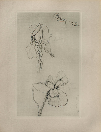 Georges BRAQUE : Les Iris, Héliogravure originale (vue générale) - Crédit photo : Galerie Art.Paris