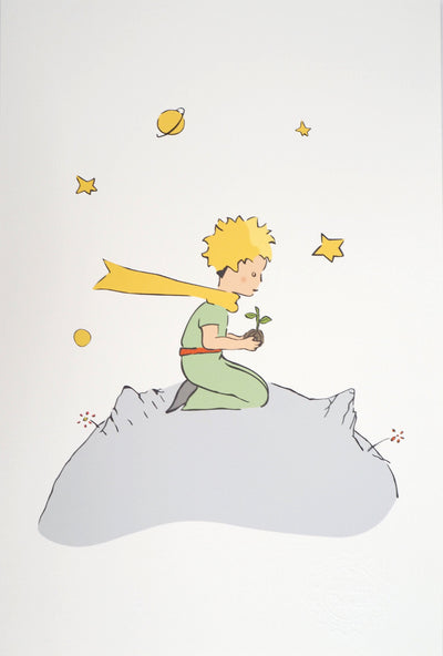 Antoine DE SAINT-EXUPERY : Ecologie : Le Petit Prince plante un arbre, Lithographie originale (vue générale) - Crédit photo : Galerie Art.Paris