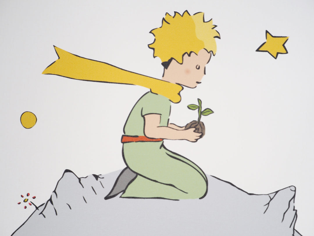 Antoine DE SAINT-EXUPERY: Ecology: The Little Prince plants a tree