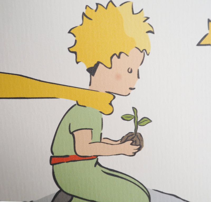 Antoine DE SAINT-EXUPERY : Ecologie : Le Petit Prince plante un arbre, Lithographie originale (photo de détail 6) - Crédit photo : Galerie Art.Paris