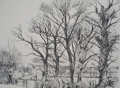 Eugène CORNEAU : Les vieux arbres, Gravure originale (photo de détail 2) - Crédit photo : Galerie Art.Paris