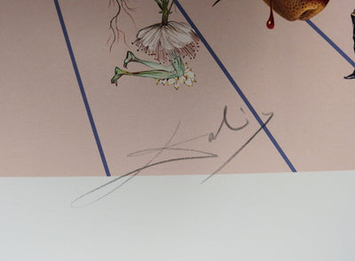 Salvador DALI : Flordali II - La rose papillon, Lithographie originale (photo de détail 3) - Crédit photo : Galerie Art.Paris