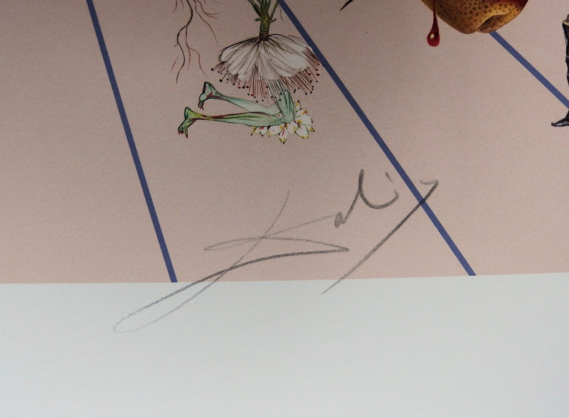 Salvador DALI : Flordali II - La rose papillon, Lithographie originale (photo de détail 3) - Crédit photo : Galerie Art.Paris