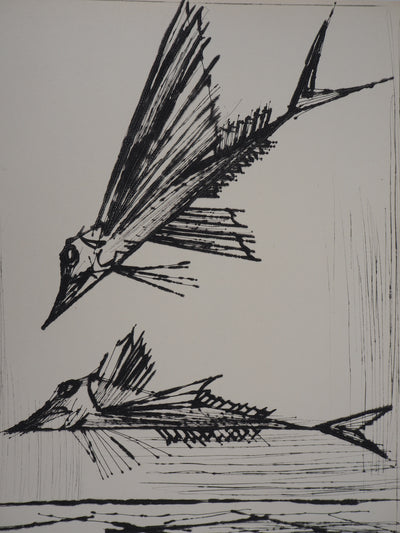 Bernard BUFFET : Poissons volants, Gravure originale (photo de détail 2) - Crédit photo : Galerie Art.Paris