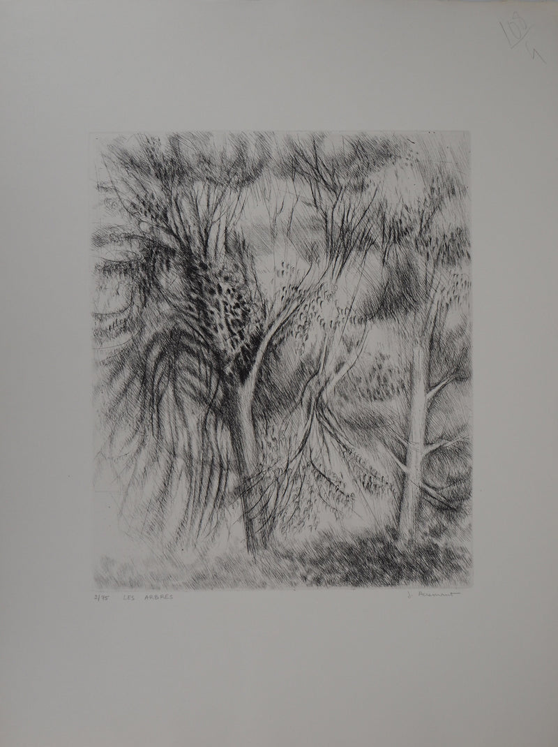 Janine ACREMANT : Les Arbres - Gravure