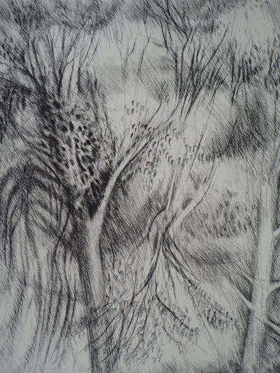 Janine ACREMANT : Les Arbres - Gravure (détail)